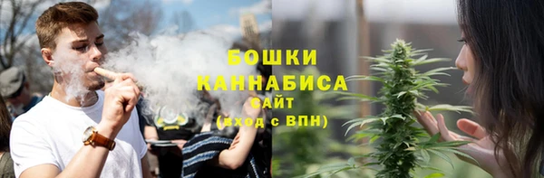 дурь Краснотурьинск