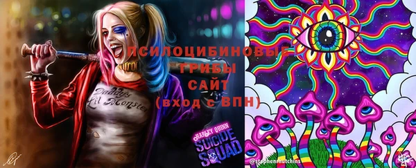 дурь Краснотурьинск