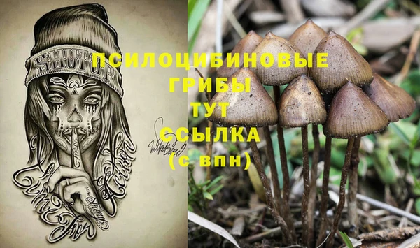дурь Краснотурьинск