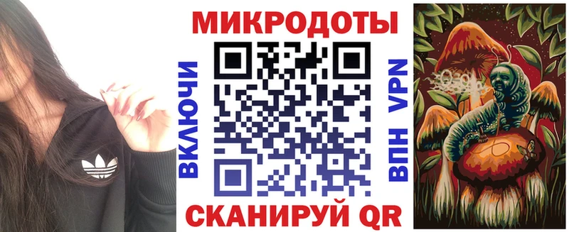 Купить где  Лесосибирск  Галлюциногенные грибы мицелий 