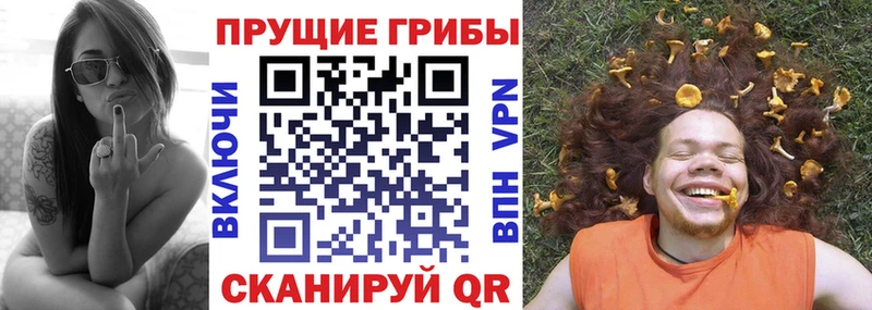Галлюциногенные грибы мухоморы Лесосибирск